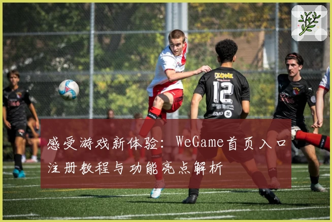 感受游戏新体验：WeGame首页入口注册教程与功能亮点解析